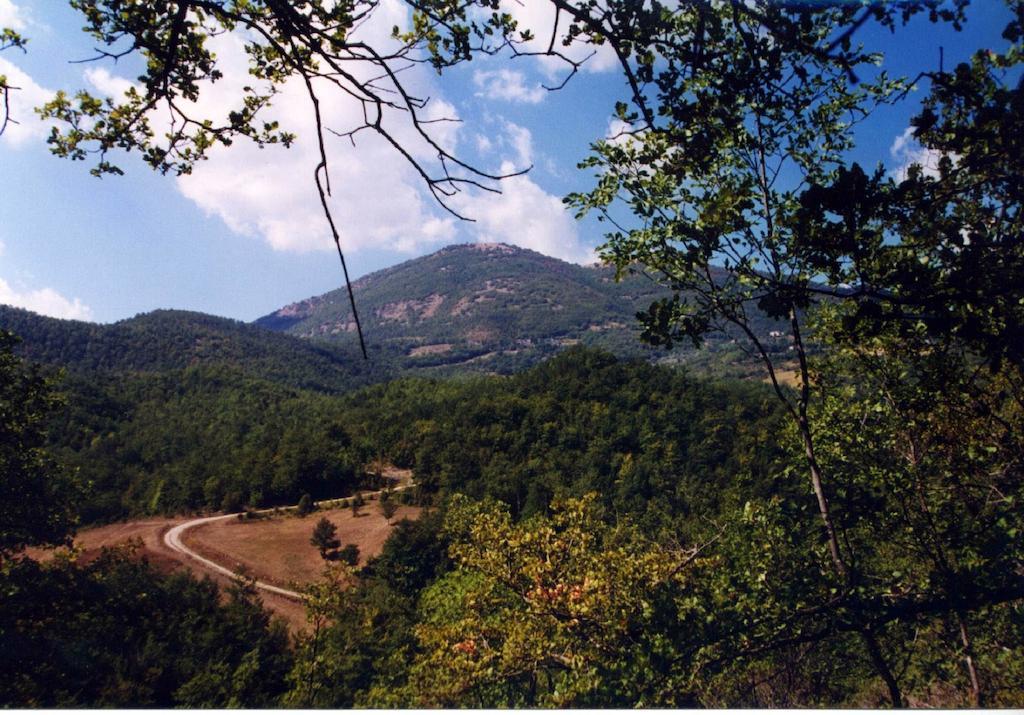 Agriturismo Monte Acuto 움베티드 외부 사진