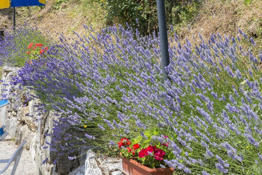 Agriturismo Monte Acuto 움베티드 외부 사진
