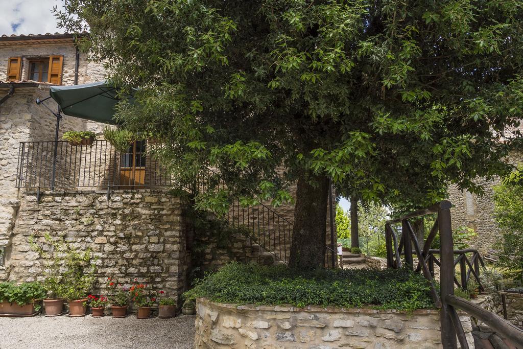 Agriturismo Monte Acuto 움베티드 객실 사진